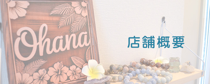 店舗概要